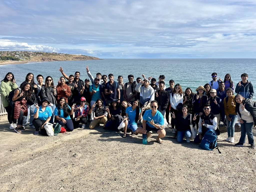 Discover Hallett Cove